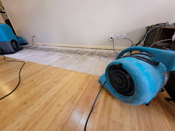 Professional Basement Flood Cleanup technician working in Mount Ephraim, NJ